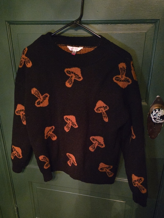 No Boundaries Sweaters - No Boundaries Black Crewneck Sweater with Brown Mushroom Motif